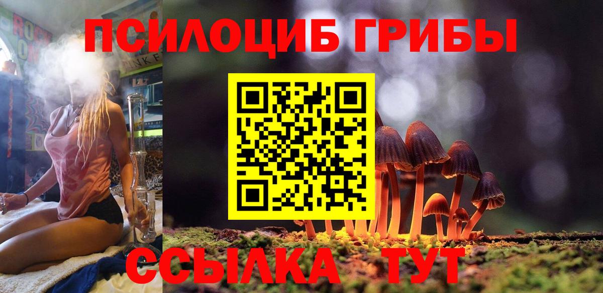 Галлюциногенные грибы MAGIC MUSHROOMS Зеленогорск
