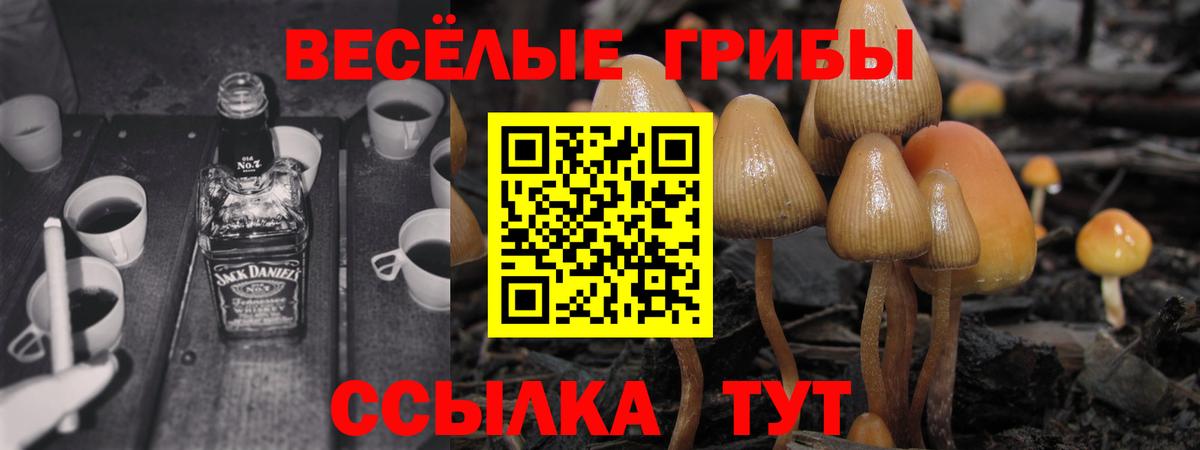 Зеленогорск  Псилоцибиновые грибы Magic Shrooms  Вход с VPN 