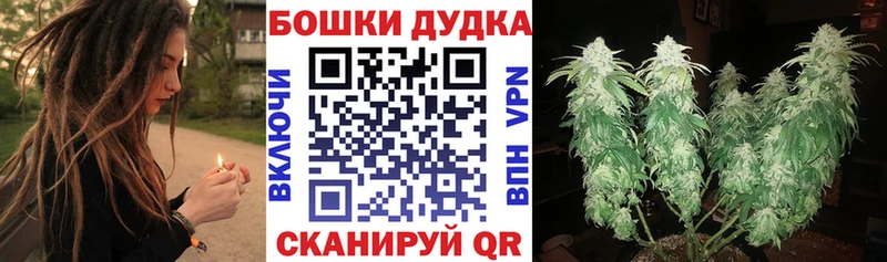 Шишки марихуана Bruce Banner  Зеленогорск 